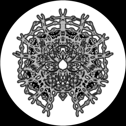 Flaws, Filip Xavi, JRD, Slight Function - Mutable Minds V [MT41]